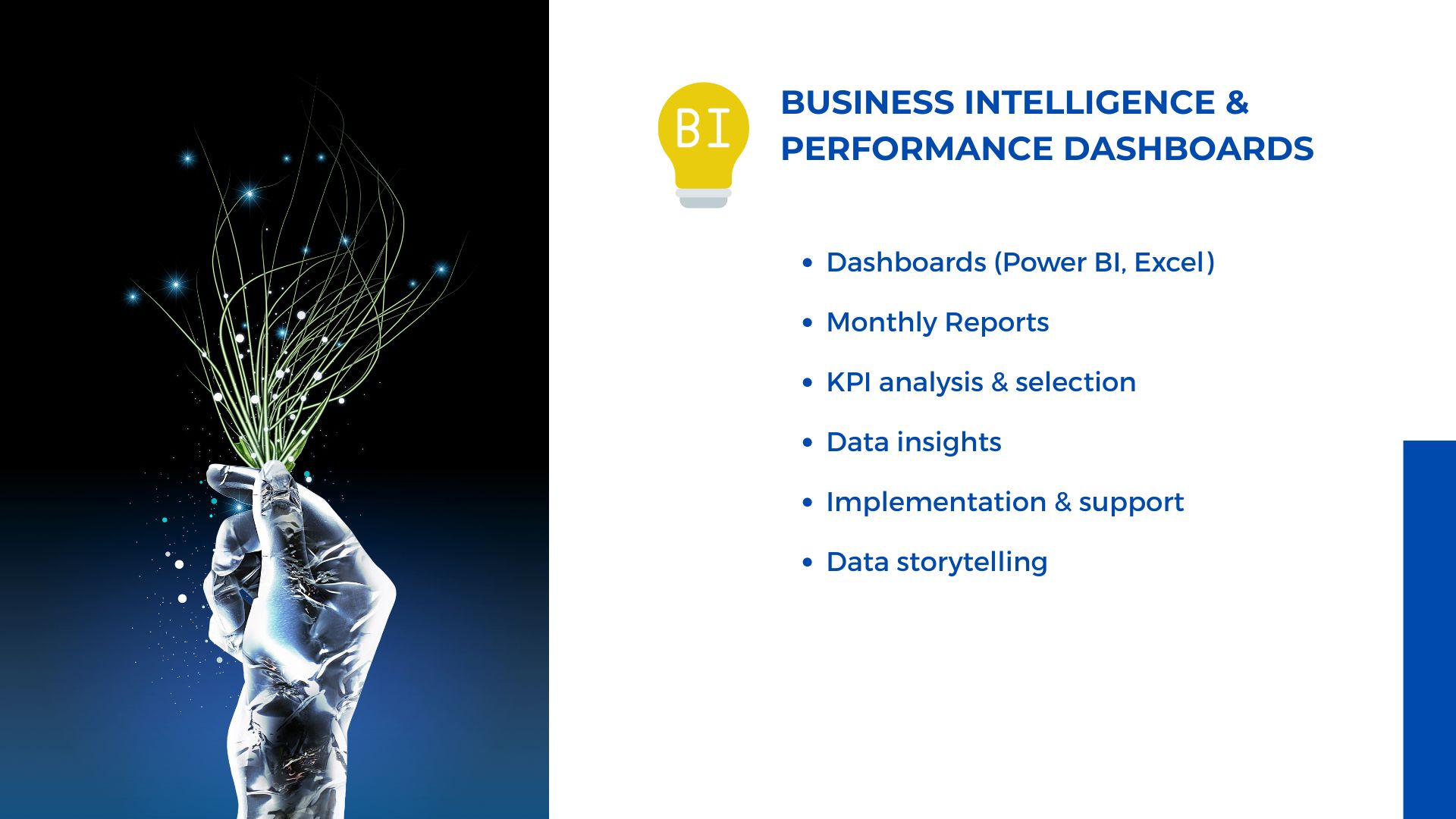Business Intelligence